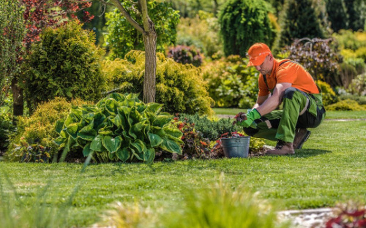 Gardening Services in Norfolk — Handyman Norfolk